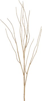 Cornus, 94cm, gold