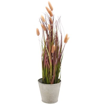 Lagurusgras im Topf, 60cm, rosa pfeffer im Übertopf Metall