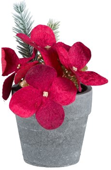 Poinsettia pot, 11cm, red