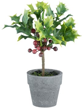 Ilex stem, 20cm, green