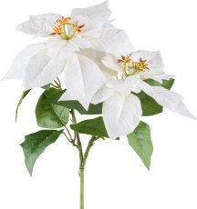 Poinsettia x2, 32cm, white