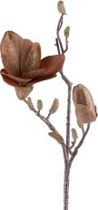 Magnolia with glitter x2, 51cm, dark brown