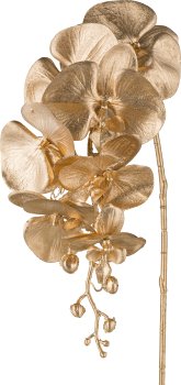 Phalaenopsis x7, 87cm, gold