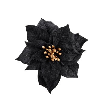 Velvet Poinsetienblüte mit Clip, 18cm, schwarz