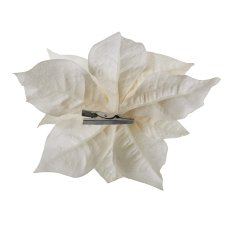 Velvet Poinsetienblüte mit Clip, 18cm, Creme