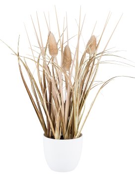 Grass bush with Lagurus, 26cm, sand