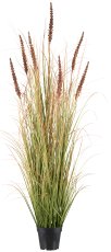 Grass Bush with Millet, 149cm, mocha