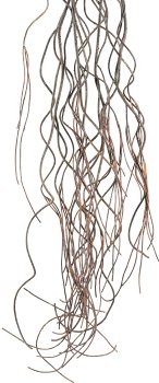 Aerial root branch, 170cm, dark brown