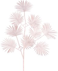 Palmzweig x8, 71cm, rosa