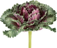 Ornamental cabbage, 30cm, purple