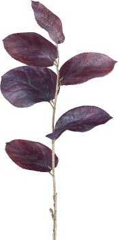 Salal, 64cm, amethyst