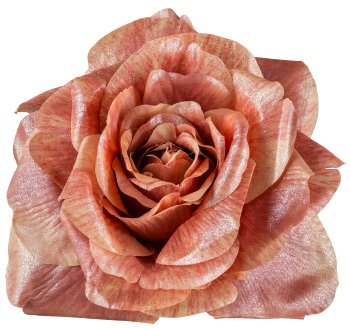 Rosenclip, 18cm, zimt