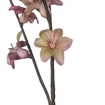 Hoyablütenzweig, 77cm, rosa