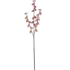 Hoyablütenzweig, 77cm, rosa