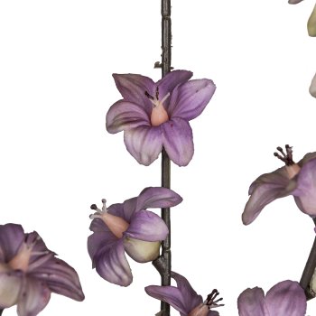 Hoyablütenzweig, 77cm, helllila