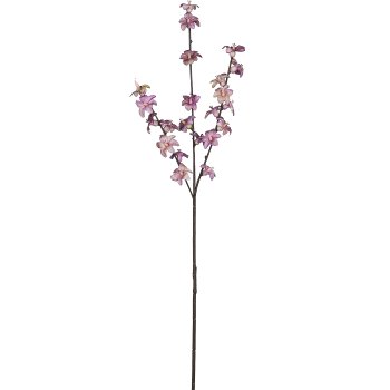 Hoyablütenzweig, 77cm, helllila