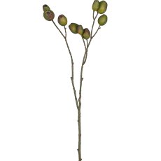 Eukalyptusfruchtzweig, 67cm, grün