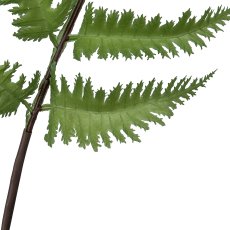 Fern branch, 88cm, green