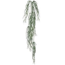 Rhipsalishänger, 126cm, grün