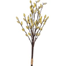 Willow catkin bunch, 53cm, light yellow