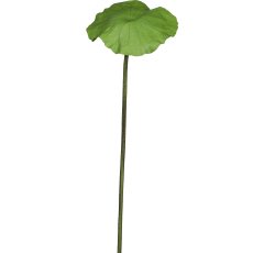 Lotus leaf, 71cm, green