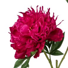 Peony, 65cm, ruby