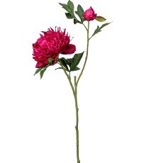 Peony, 65cm, ruby