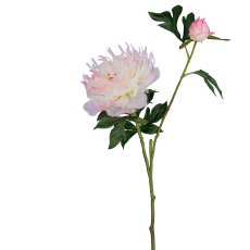 Peony, 65cm, light pink