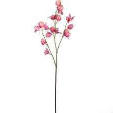 Korallenwein, 85cm, pink