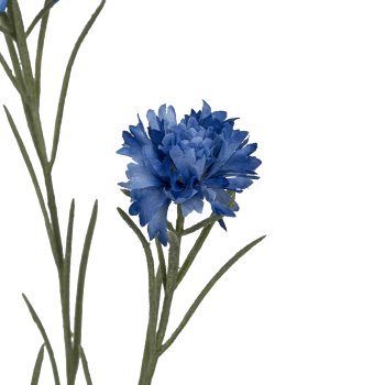 Kornblume, 68cm, blau