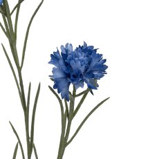 Kornblume, 68cm, blau