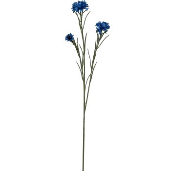 Kornblume, 68cm, blau