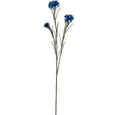 Kornblume, 68cm, blau