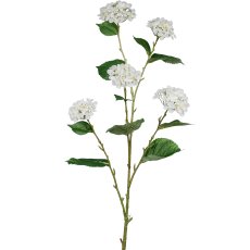 Hortensie, 114cm, weiß
