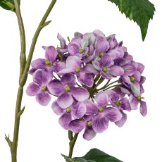Hydrangea, 114cm, lilac