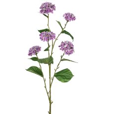 Hortensie, 114cm, lila