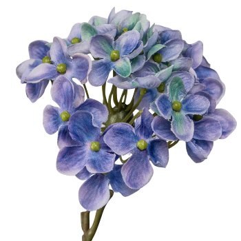 Hortensie, 114cm, blau
