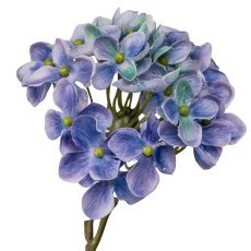 Hortensie, 114cm, blau