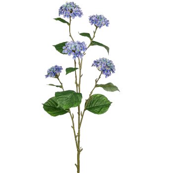 Hortensie, 114cm, blau