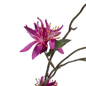 Cassia, 84cm, pink