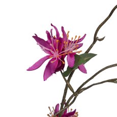 Cassia, 84cm, pink