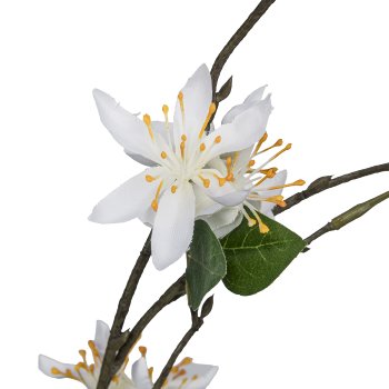 Cassia, 84cm, white