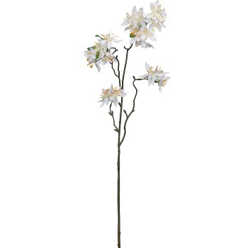 Cassia, 84cm, white