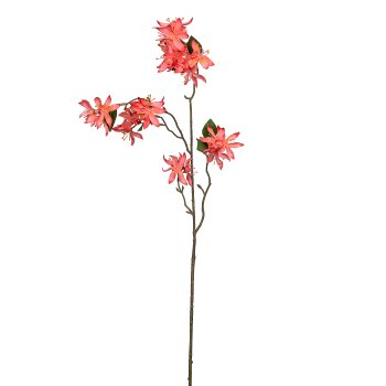 Cassia, 84cm, salmon