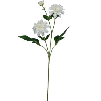 Dahlie, 72cm, weiß