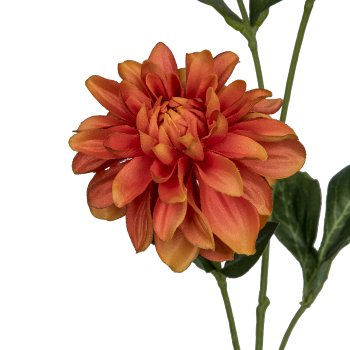 Dahlia, 72cm, orange