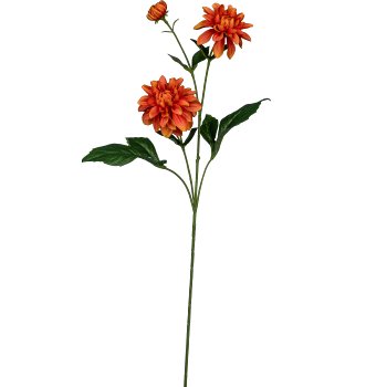 Dahlia, 72cm, orange