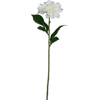 Dahlia, 55cm, white