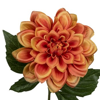 Dahlia, 55cm, orange