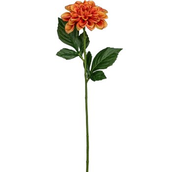 Dahlia, 55cm, orange